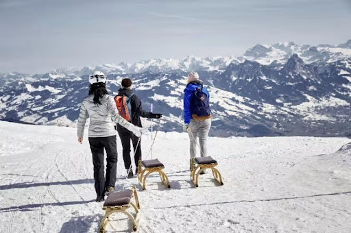 Swiss Landscape 1